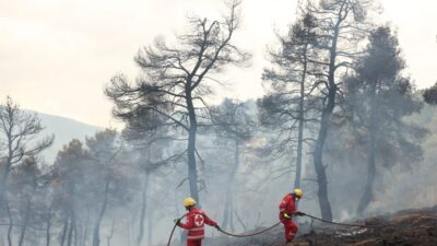 Pelion’un güneyindeki ormanlık alanda yangın çıktı